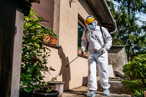Best Pest Control Near Me  in Merritt Island, FL
