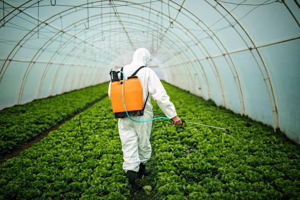 Best Mosquito Control Services  in Merritt Island, FL