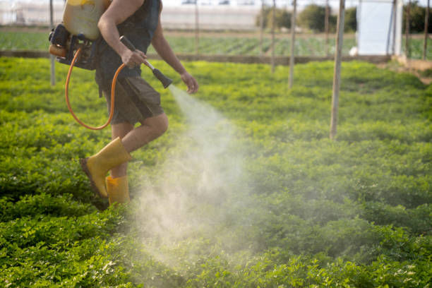 Best Local Pest Control Services  in Merritt Island, FL