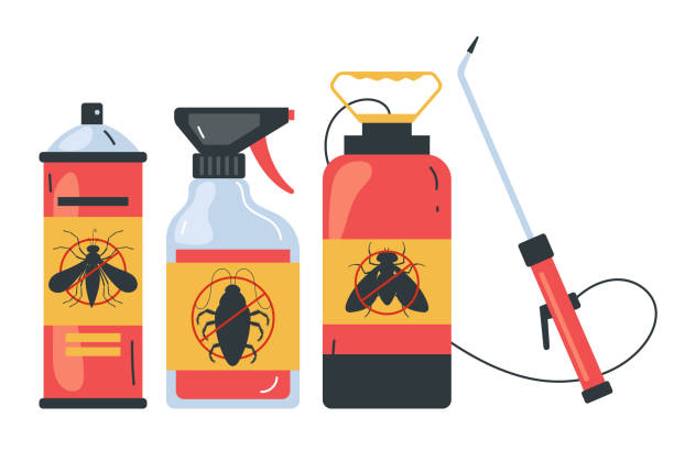 Trusted Merritt Island, FL Pest Control Experts