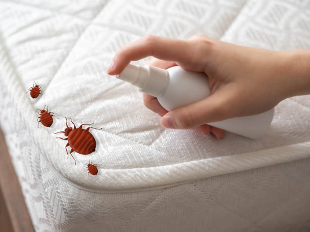 Best Flea Control Services  in Merritt Island, FL